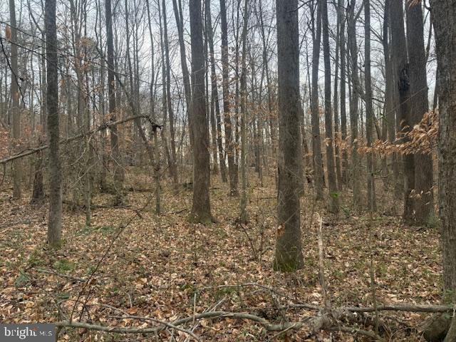 NONE AVAILABLE - Land