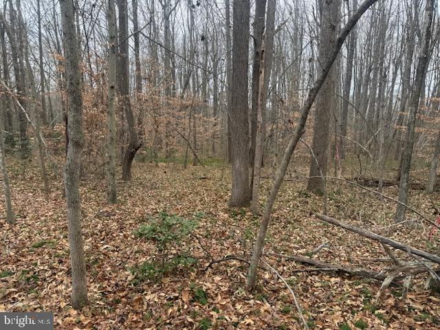 NONE AVAILABLE - Land