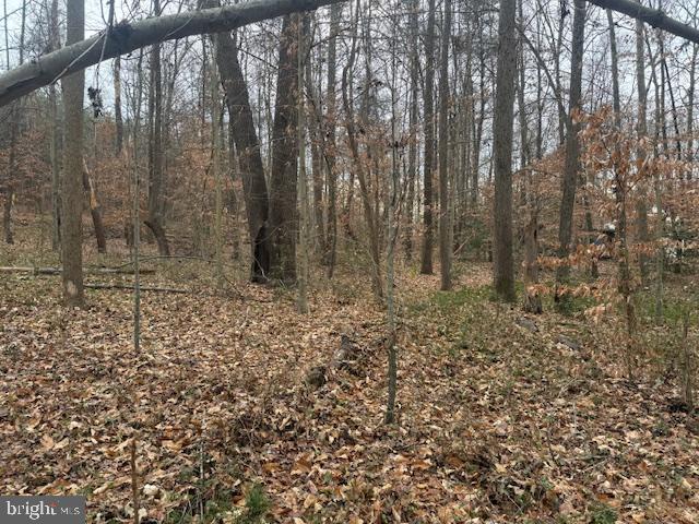 NONE AVAILABLE - Land