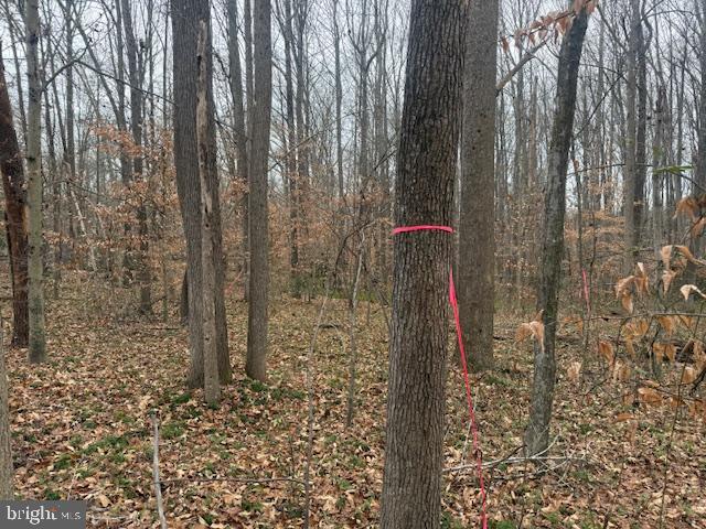 NONE AVAILABLE - Land