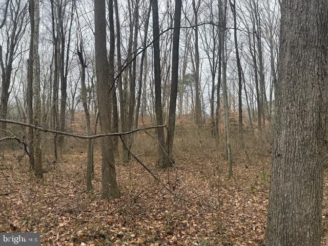 NONE AVAILABLE - Land