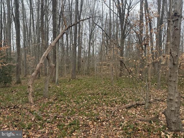 NONE AVAILABLE - Land