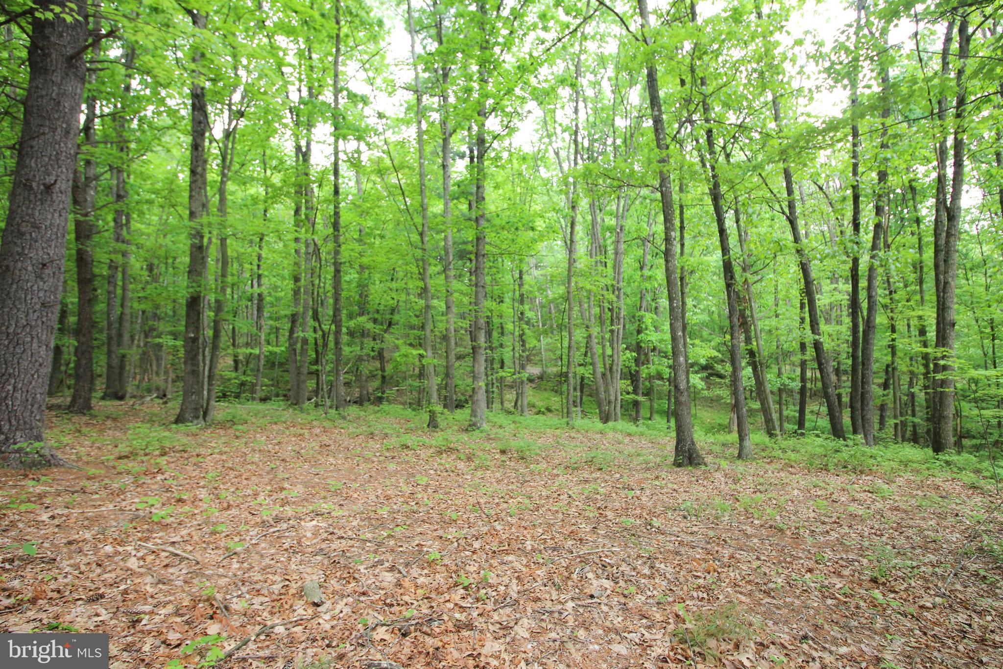 SUNDANCE PROPERTIES - Residential