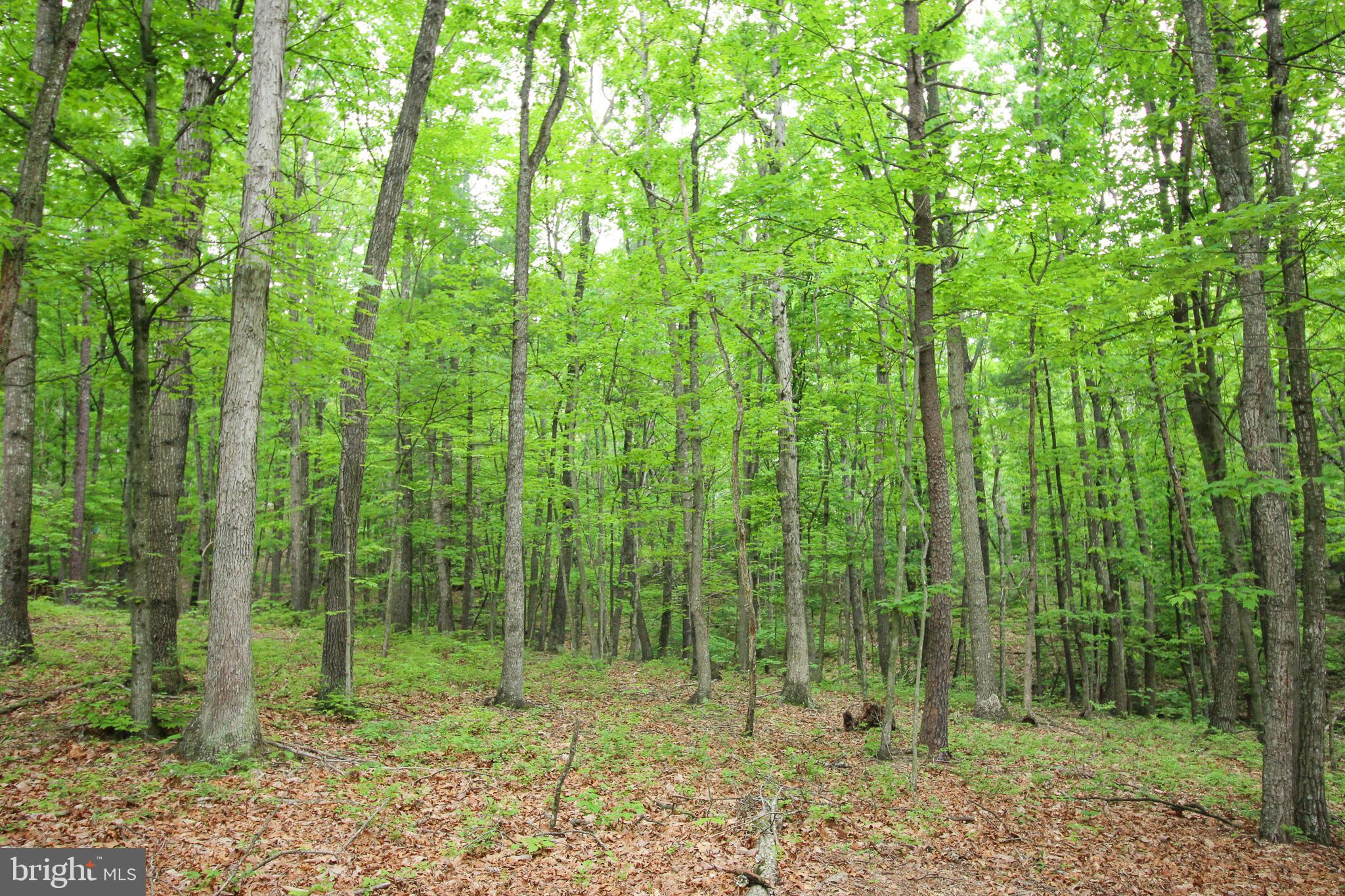 SUNDANCE PROPERTIES - Residential