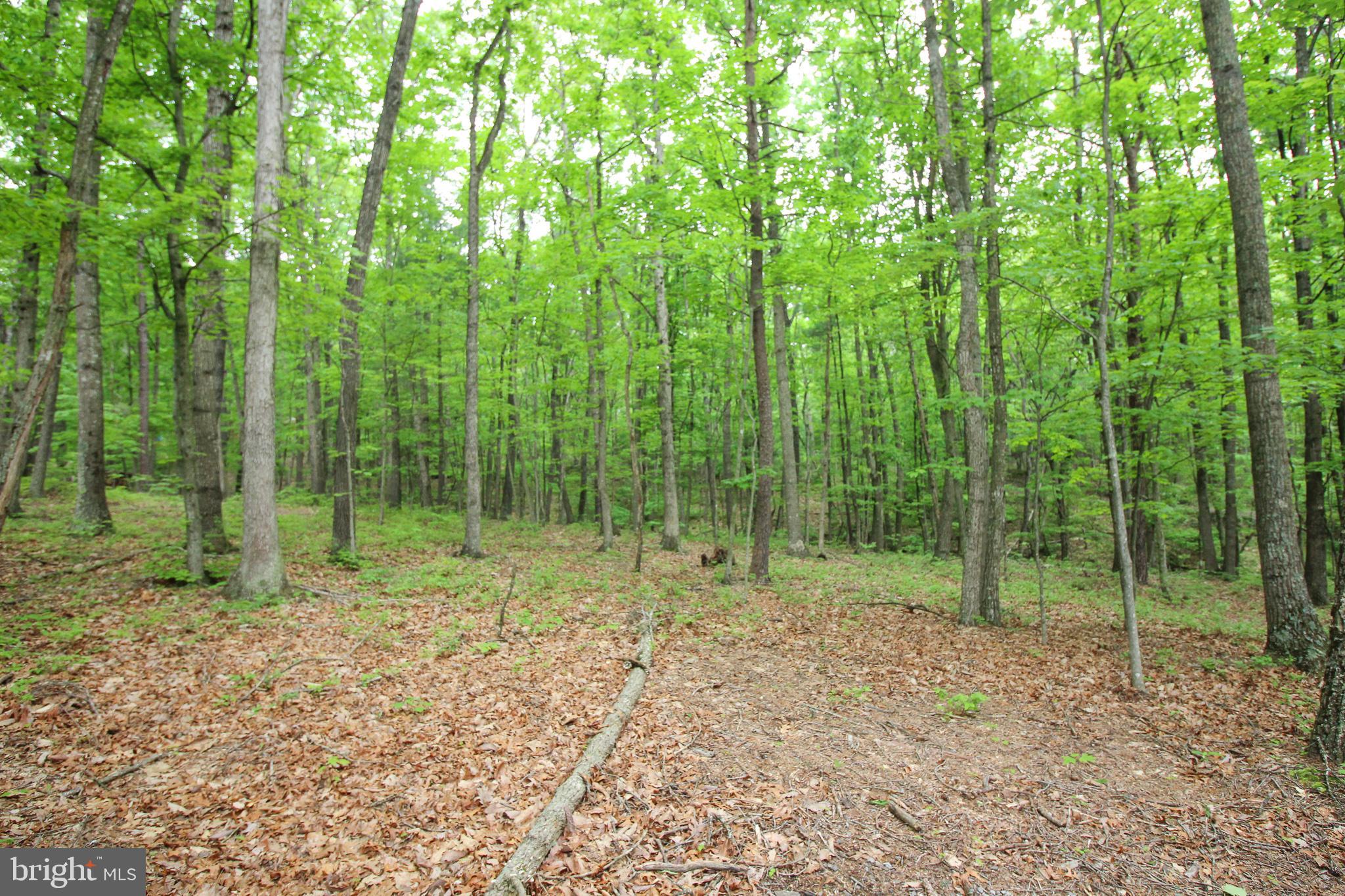 SUNDANCE PROPERTIES - Residential