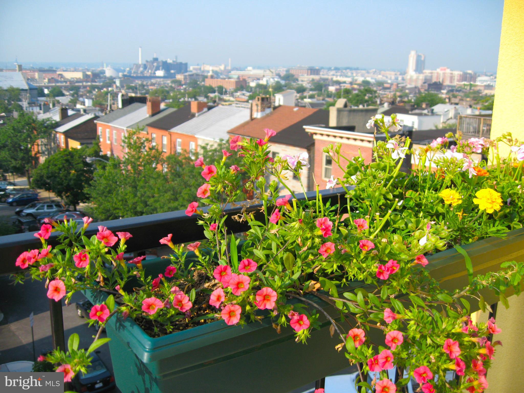 BUTCHER'S HILL - Residential