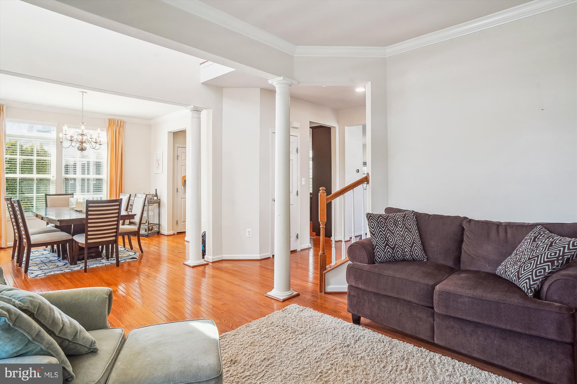 CLARKSBURG VILLAGE - Residential