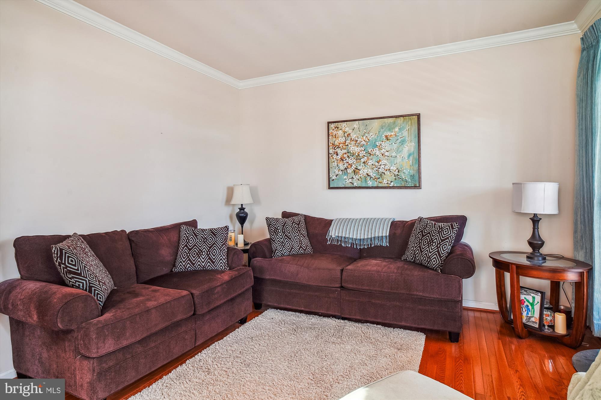 CLARKSBURG VILLAGE - Residential