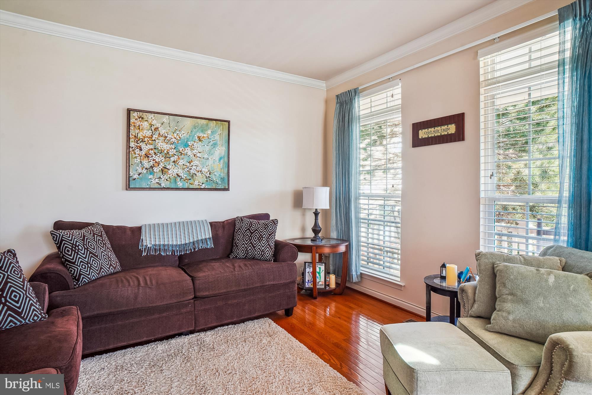 CLARKSBURG VILLAGE - Residential