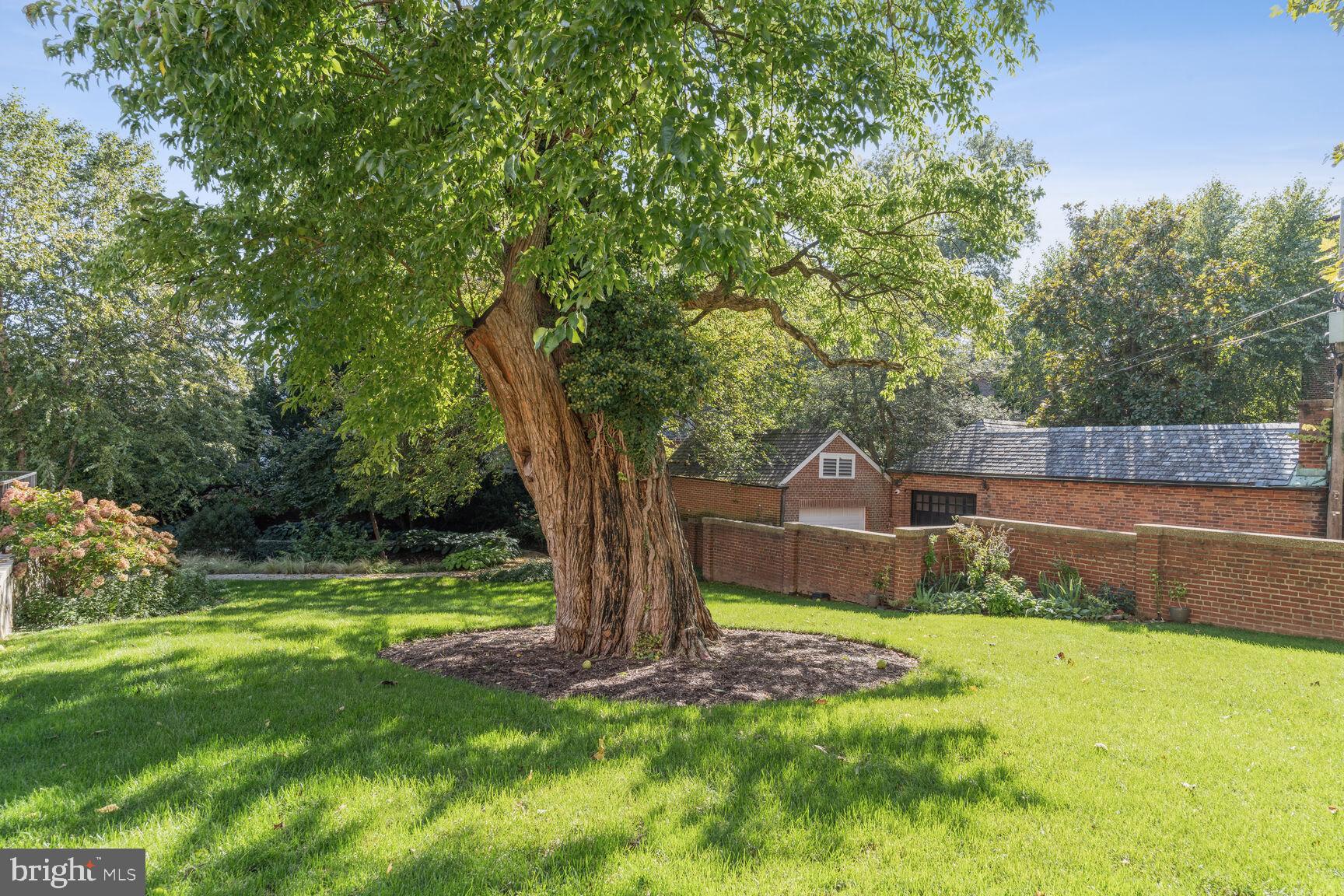 GEORGETOWN - Residential