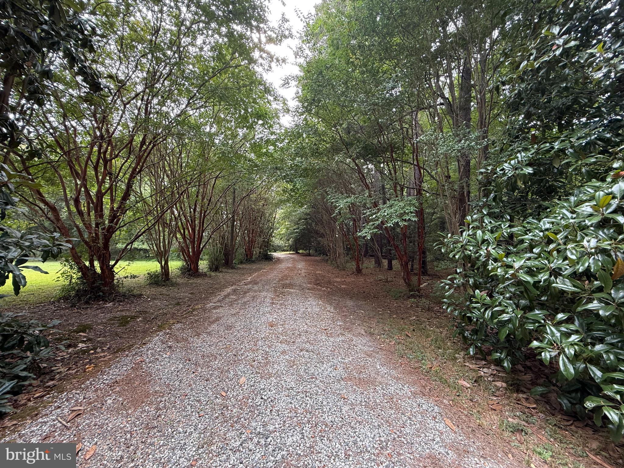 DRUM POINT - Residential