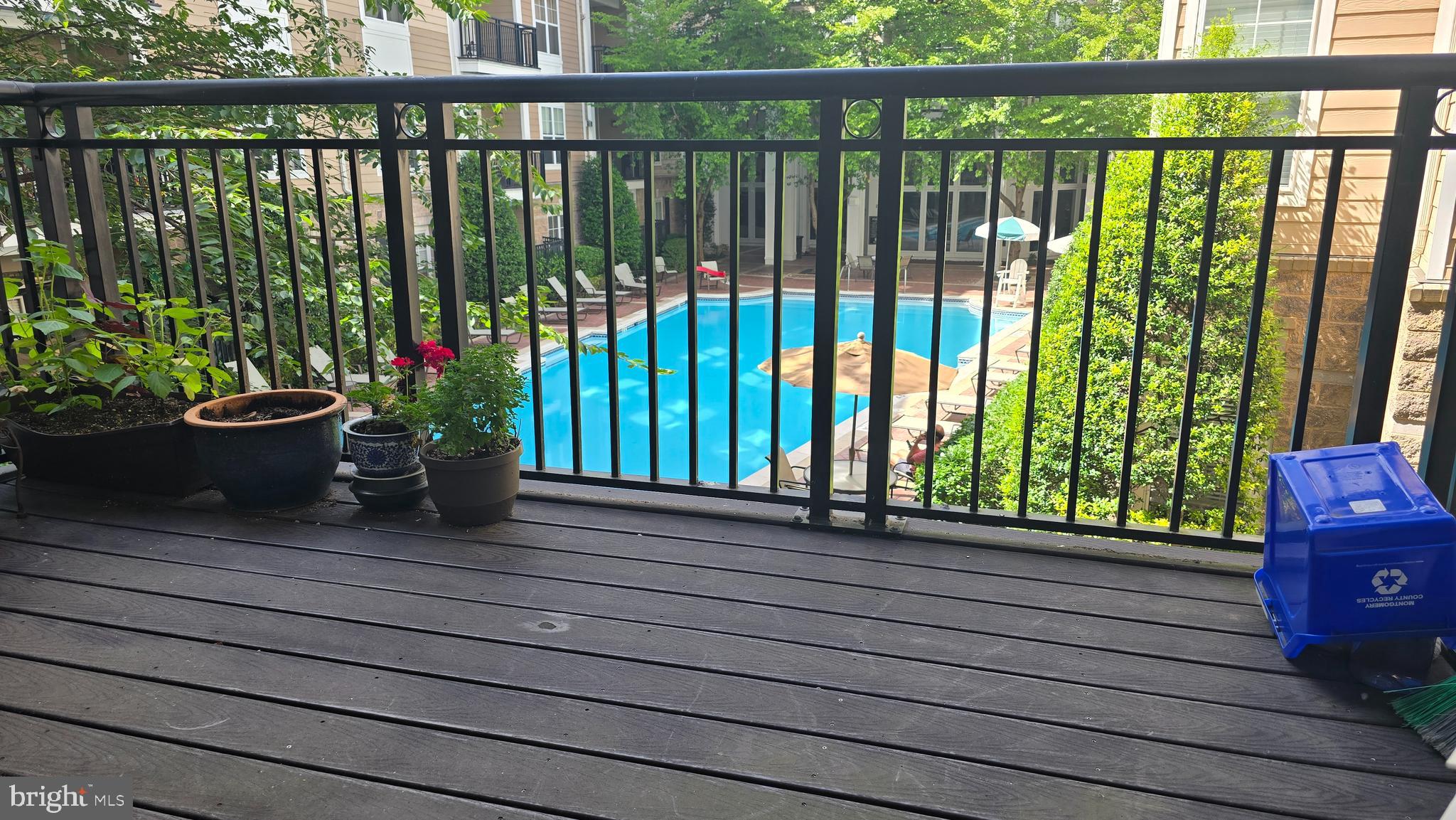 THE FITZ - Residential