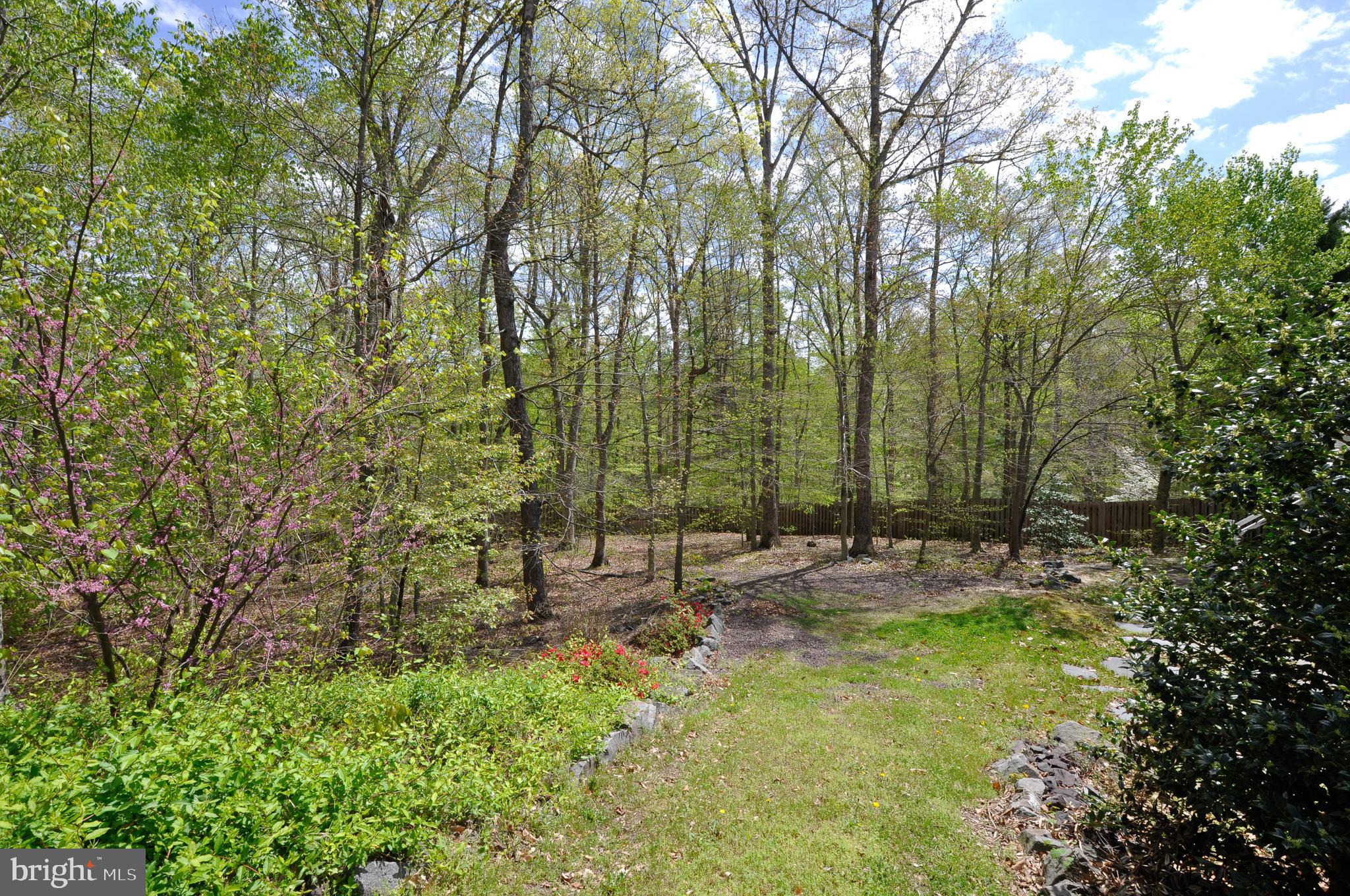 THE HILLS AT SNOWDEN - Residential