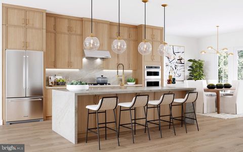 8609 ERDEM PLACE CHEVY CHASE MD 20815