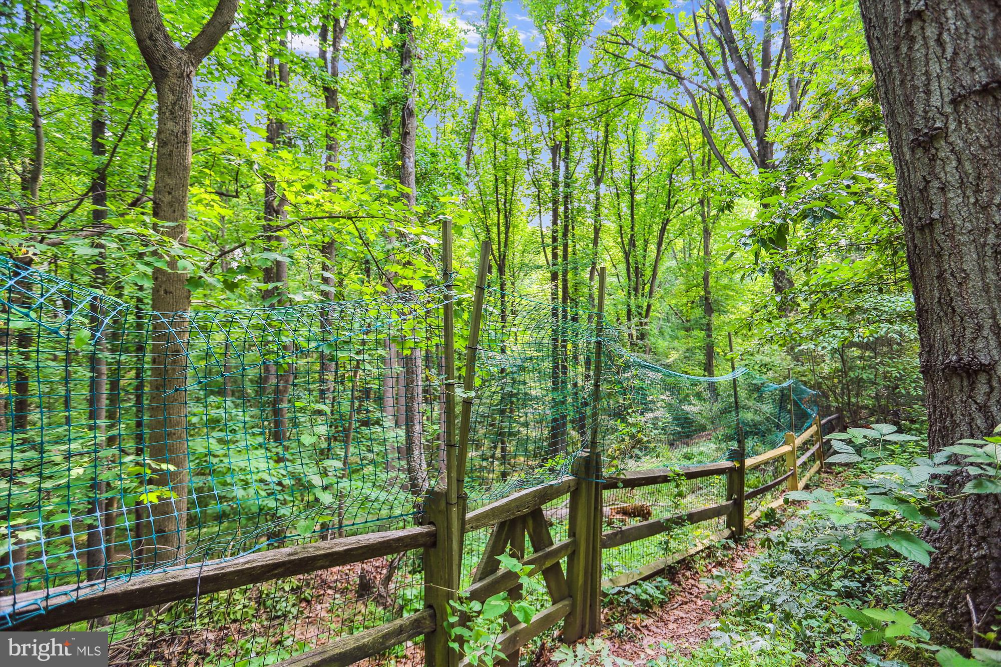 KEMP MILL ESTATES - Residential