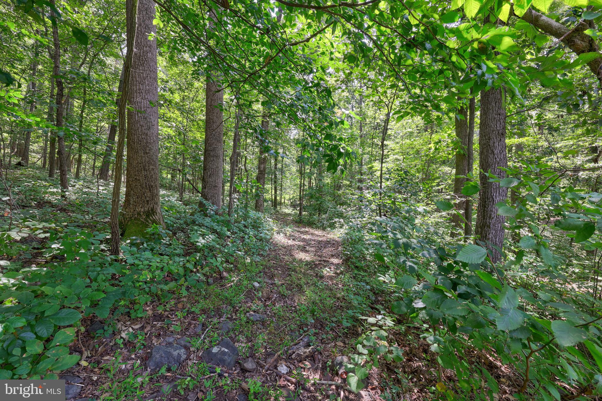 PINEY MOUNTAIN - Residential