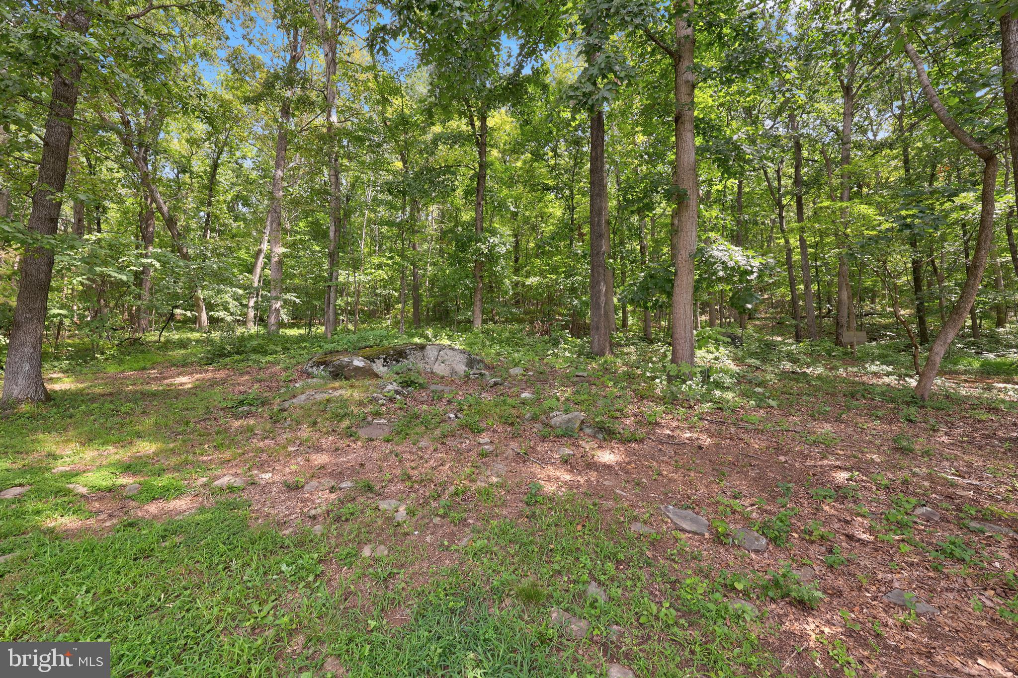 PINEY MOUNTAIN - Residential