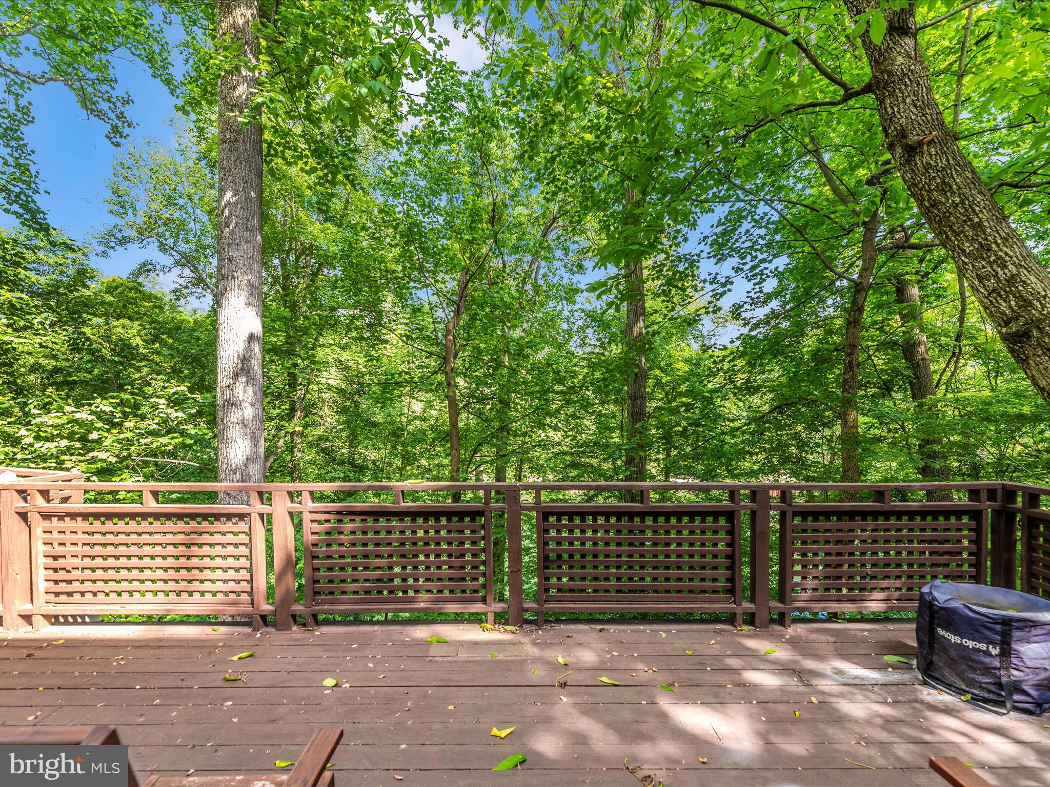 WOODRIDGE AT LAKE LINGANORE - Residential