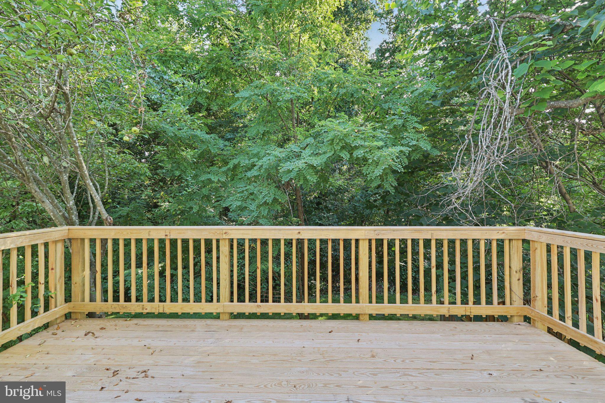 CARDINAL FOREST - Residential