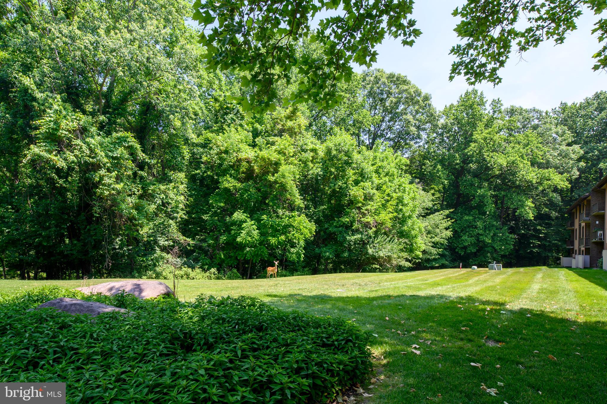 TREOVER CONDOMINIUM - Residential Lease