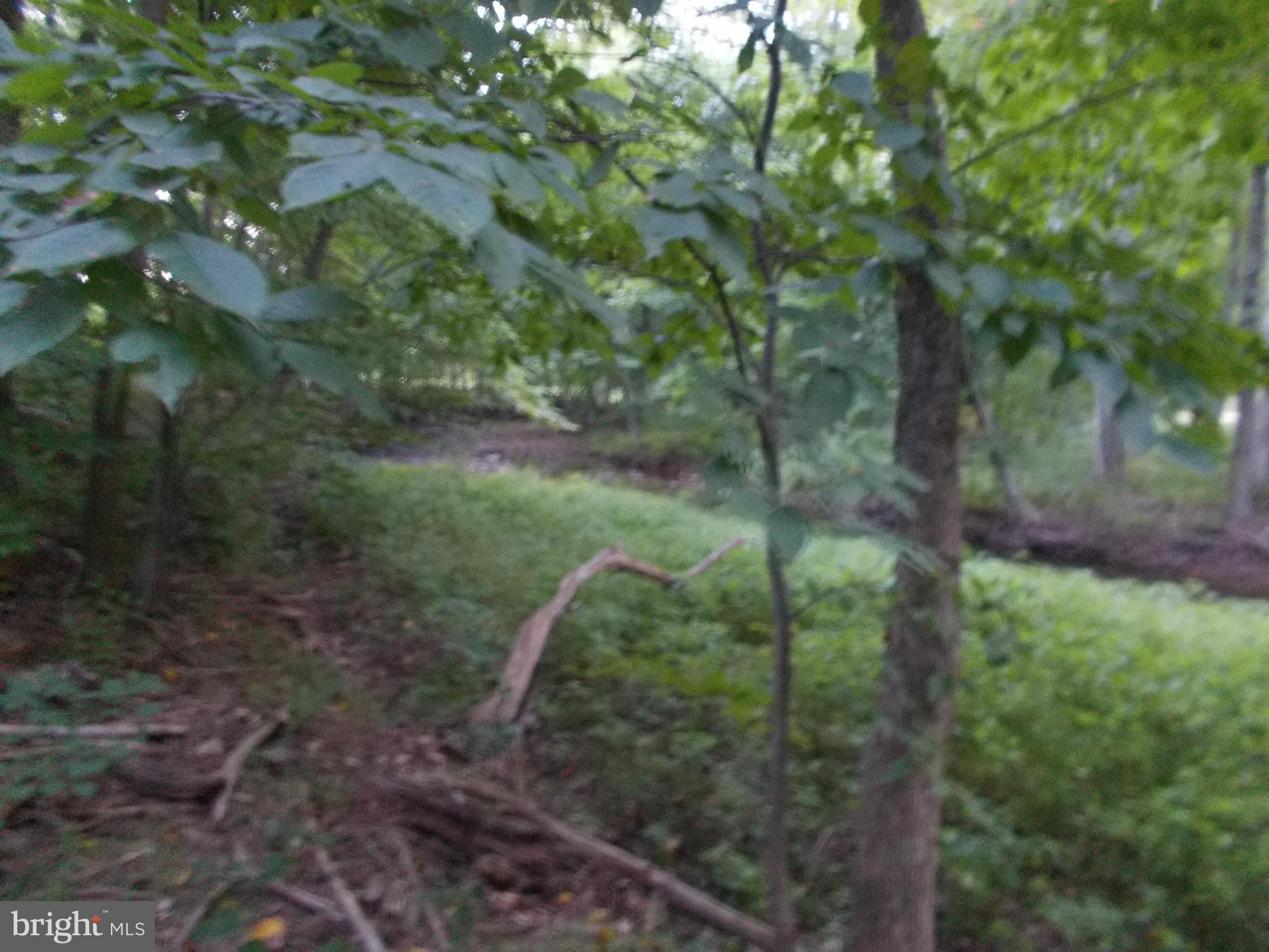 LITTLE COVE - Residential