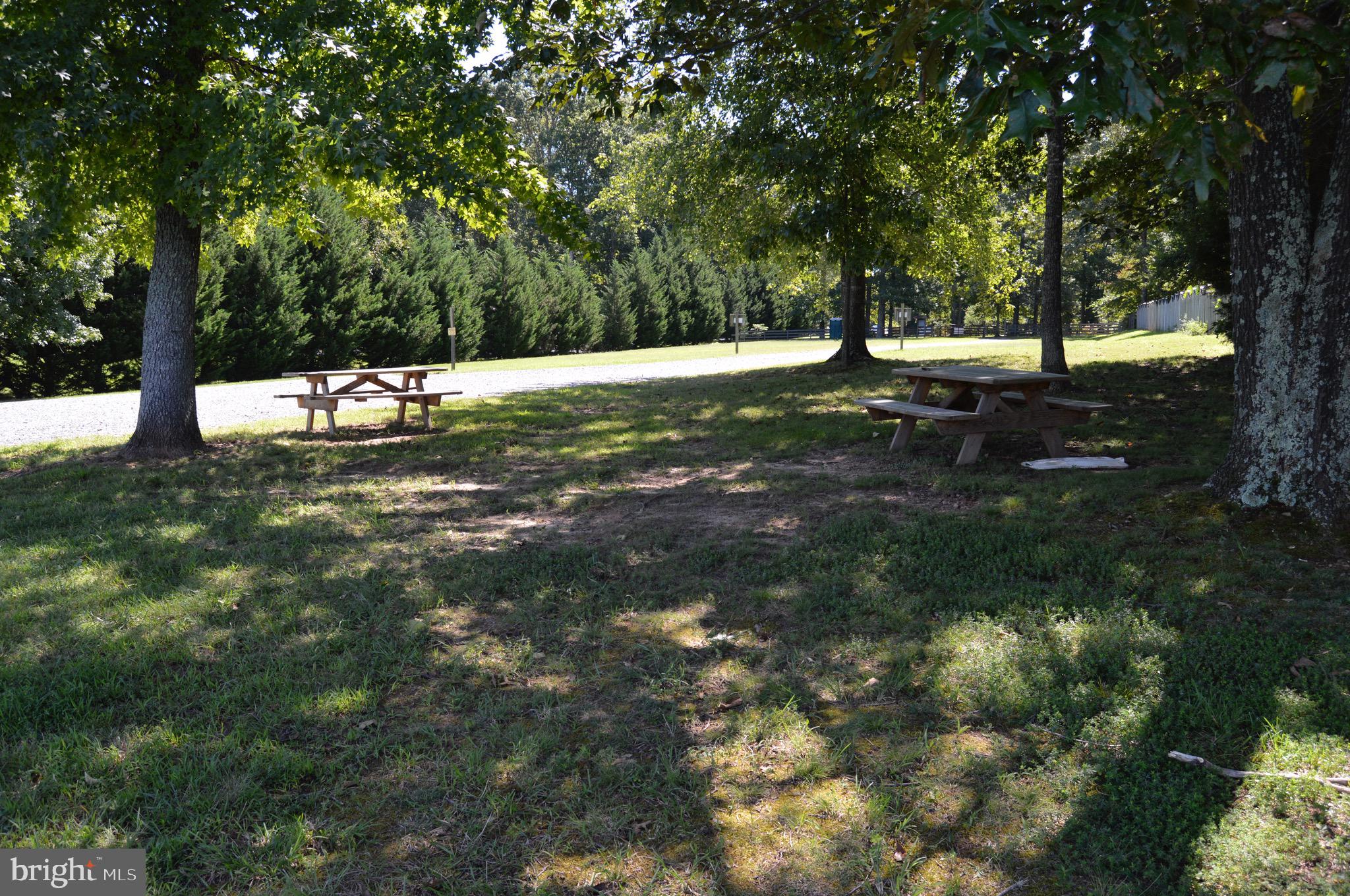 CUCKOO'S NEST - Land