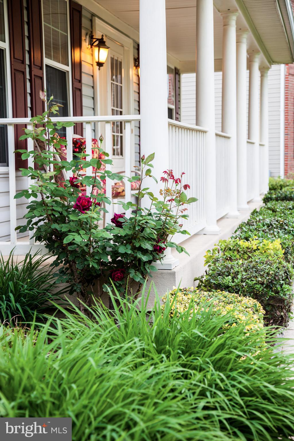 SCHOOLERS POND - Residential