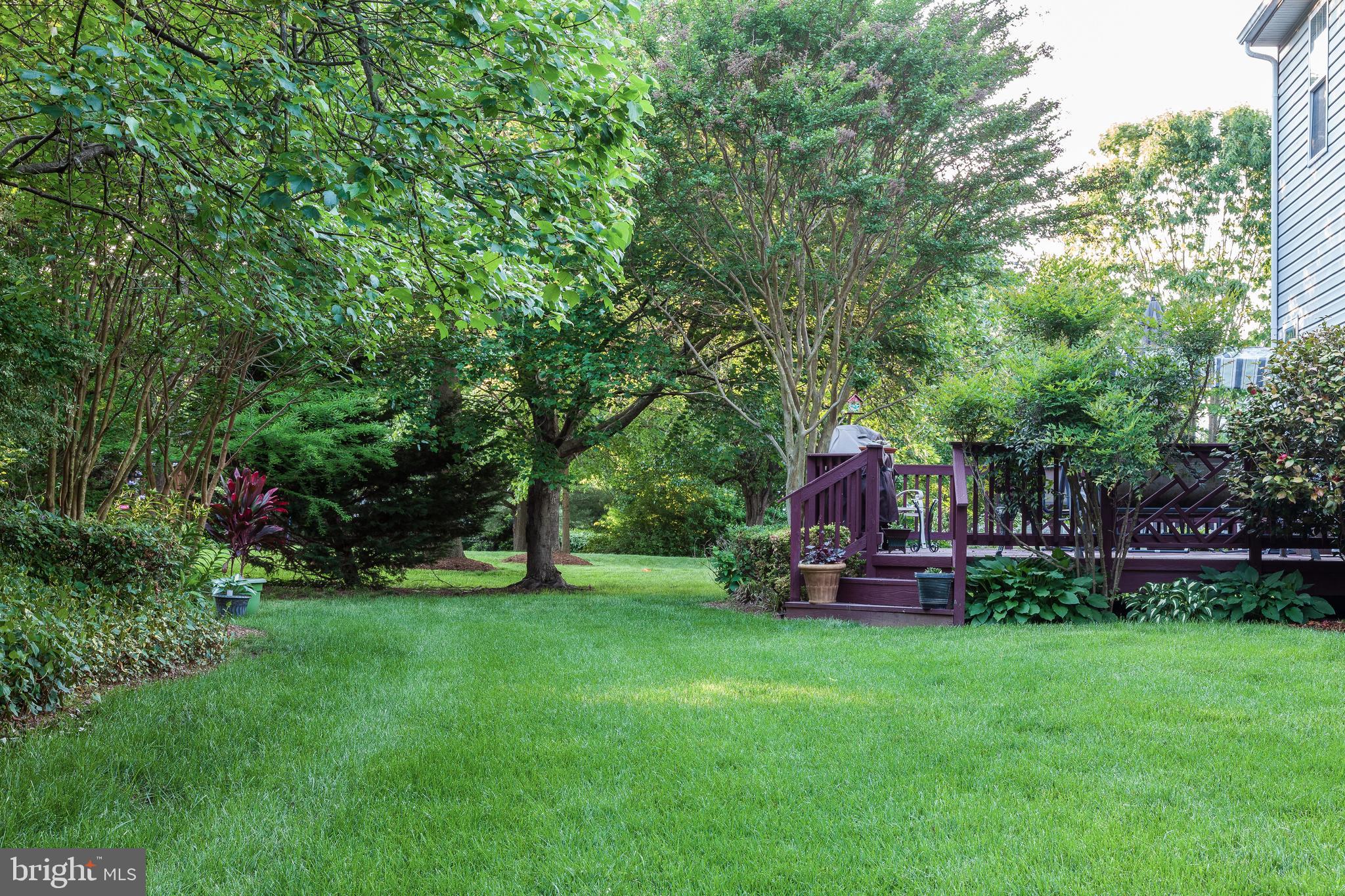 SCHOOLERS POND - Residential