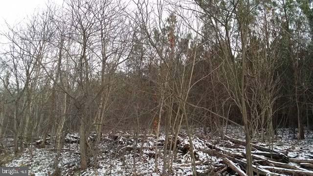 Rural & secluded woodlot only 10 minutes from Rt 322, Mifflintown area. Great location for home site or camping, hiking & hunting. Property remaining in Clean & Green program & no commercial agricultural operations unless Buyer purchases Tracts 1 & 2.