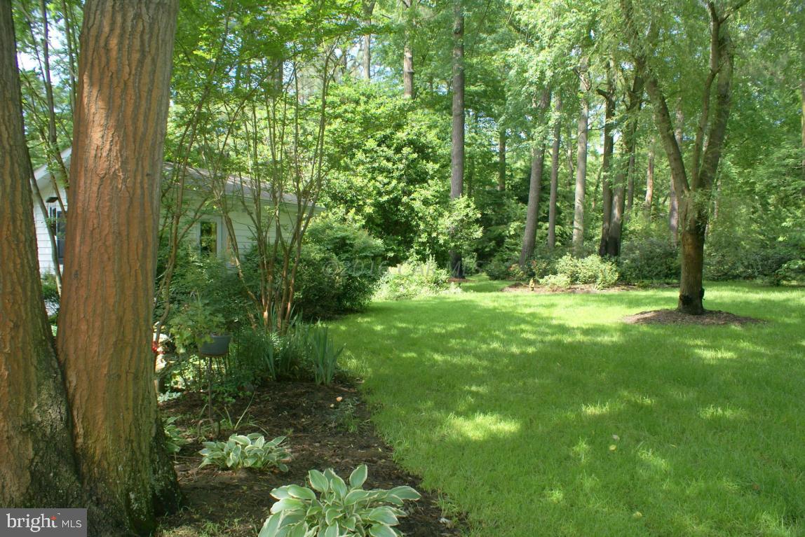 HUNTING PARK - Residential