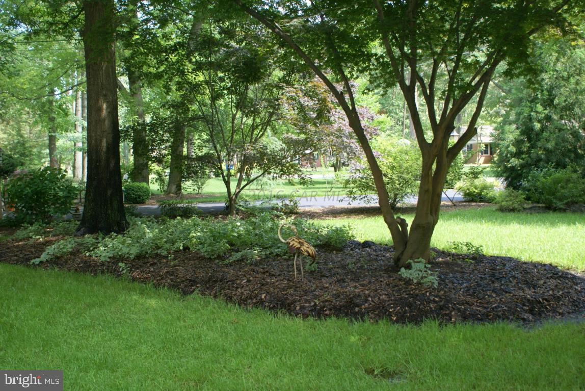 HUNTING PARK - Residential