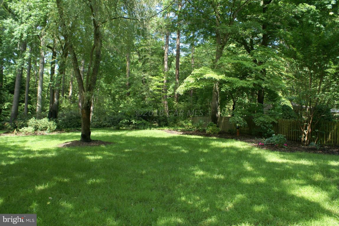 HUNTING PARK - Residential