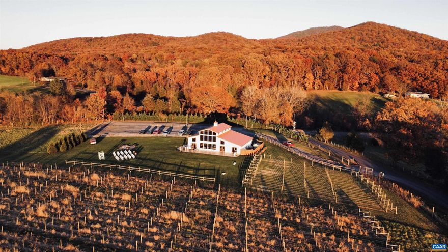 Idyllic Wedding/Event/Vineyard venue in the heart of Shenandoah Valley  Incredible opportunity to own a profitable, turn-key Wedding and Event venue, beautifully situated in the heart of the rolling Shenandoah Valley, including a 3750 sq. ft. modern Post and Beam style event barn built in 2015, 16.81 acres of elevated land, including a 3 acre vineyard, overlooking the nearby quaint, historic town of Luray, Virginia, and offering unparalleled 360 degree views of the surrounding Blue Ridge and Massanutten Mountains. Currently focused as a wedding venue, the sale includes all the equipment necessary for hosting up to 200 guests, including parking, a catering kitchen, banquet tables, cocktail tables, 200 chairs, table linens, etc. ? All you need to create dream weddings. Over 40 weddings are already booked for 2023!  Beyond the wedding business, this unique property offers tremendous potential for expansion. Where will you take it? A winery, a brewery, Airbnb?? Let your imagination run wild! Schedule an appointment today to come see this gem of a property.