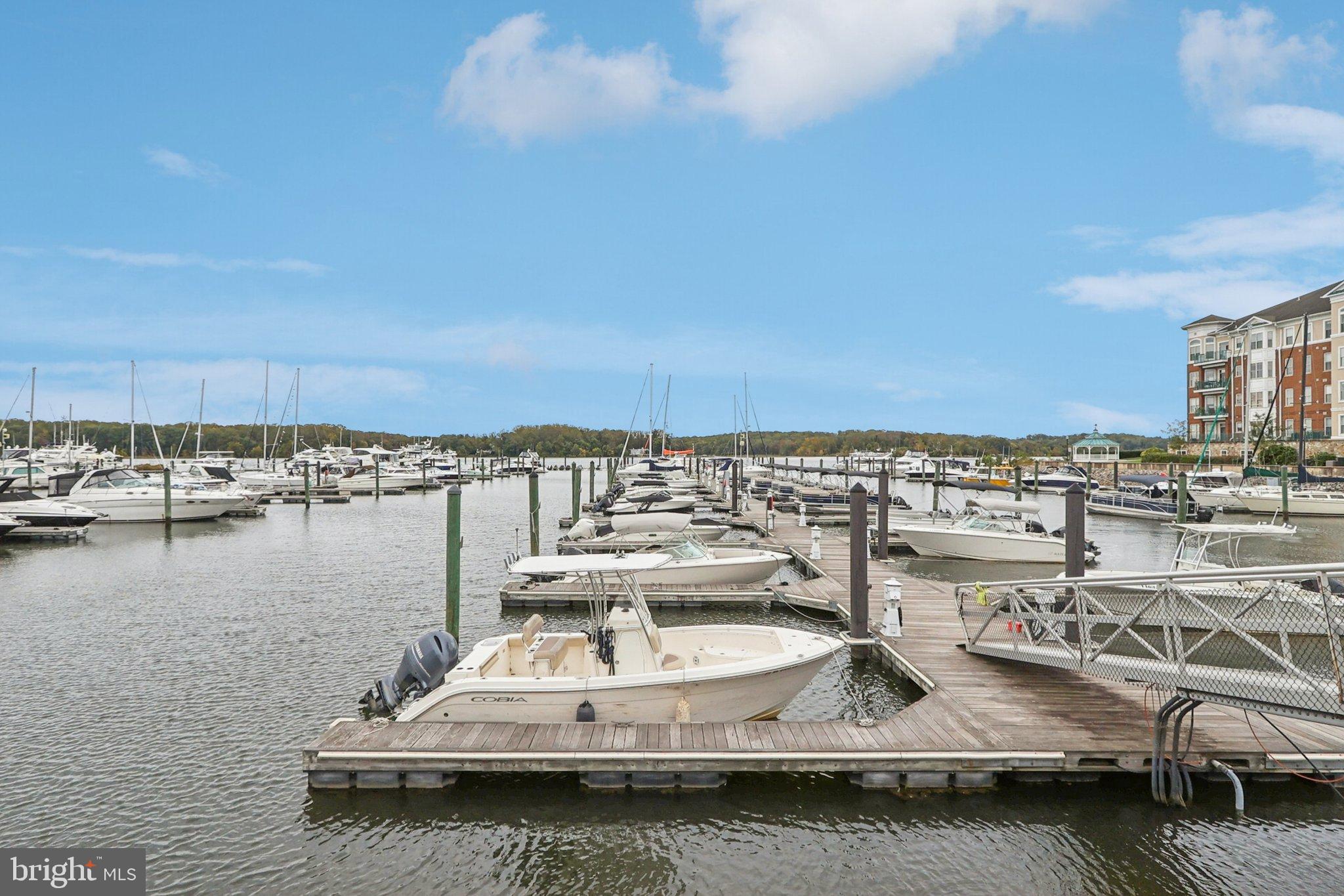 BELMONT BAY - Residential