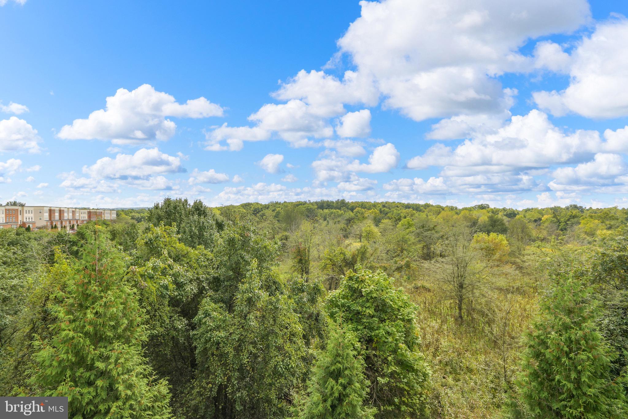 MONOCACY PARK SOUTH - Residential