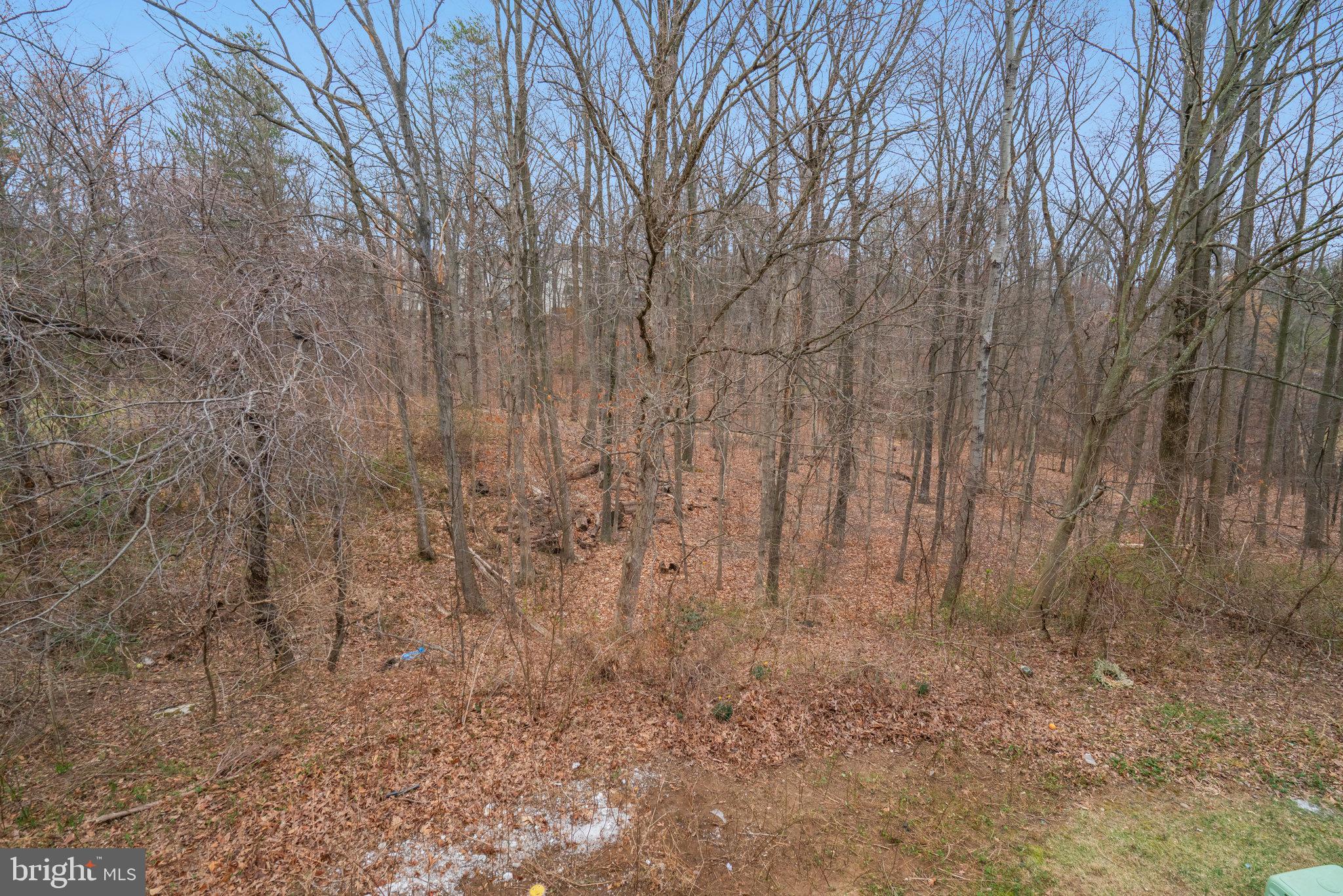 ISLAND CREEK - Residential