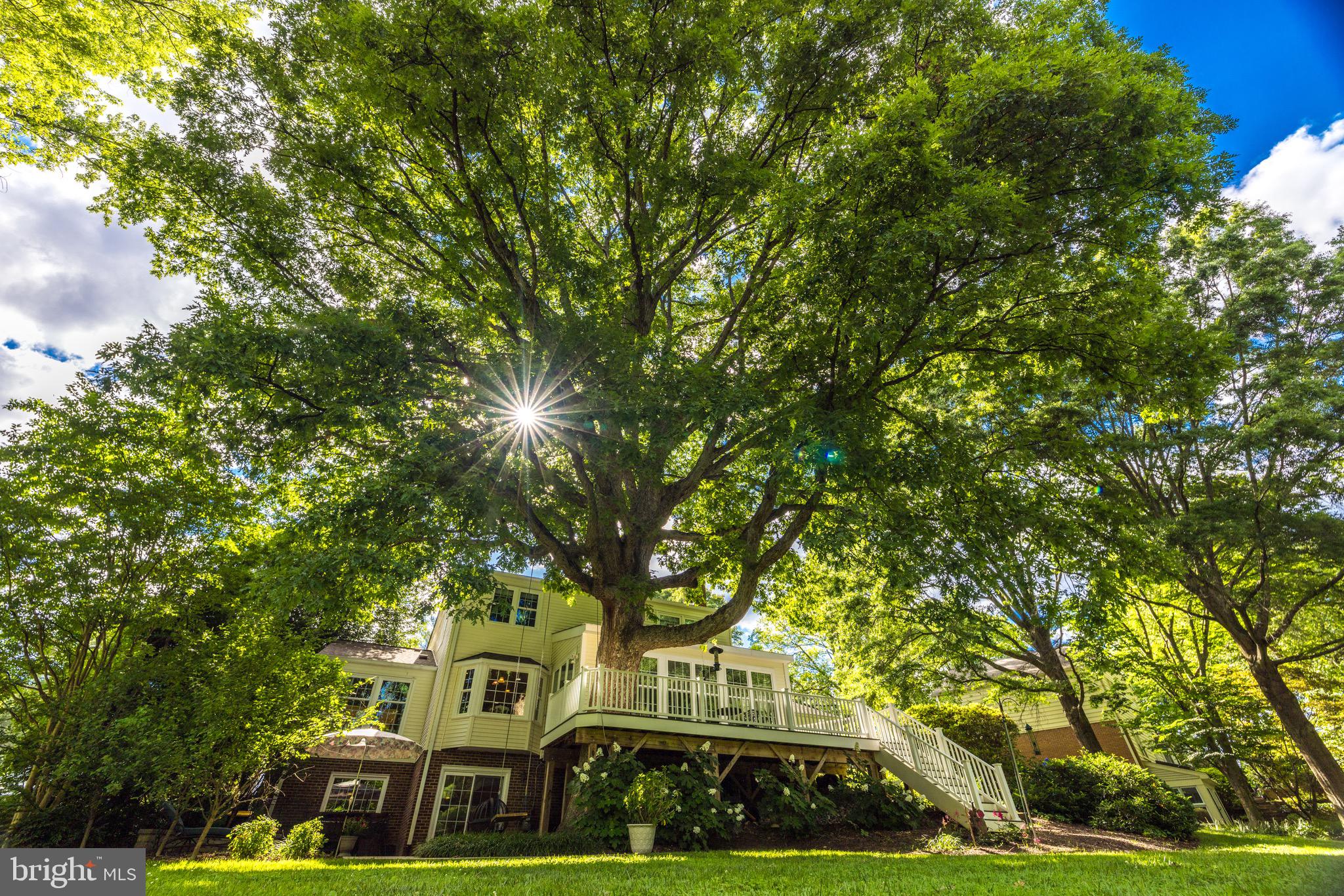 MC LEAN HUNT ESTATES - Residential