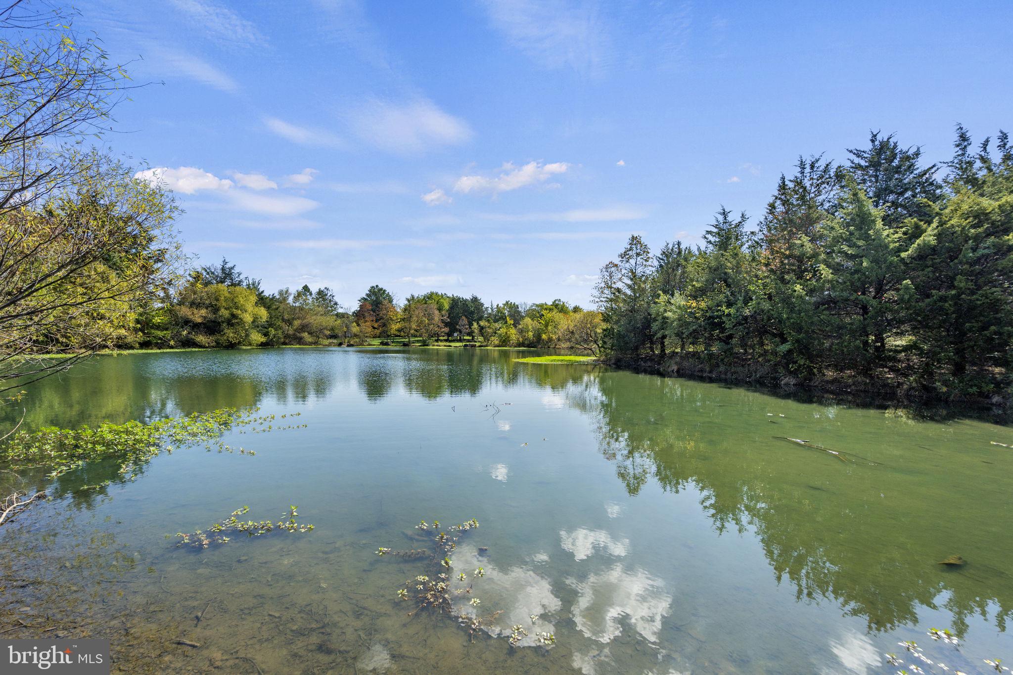 BRAMBLETON - Residential