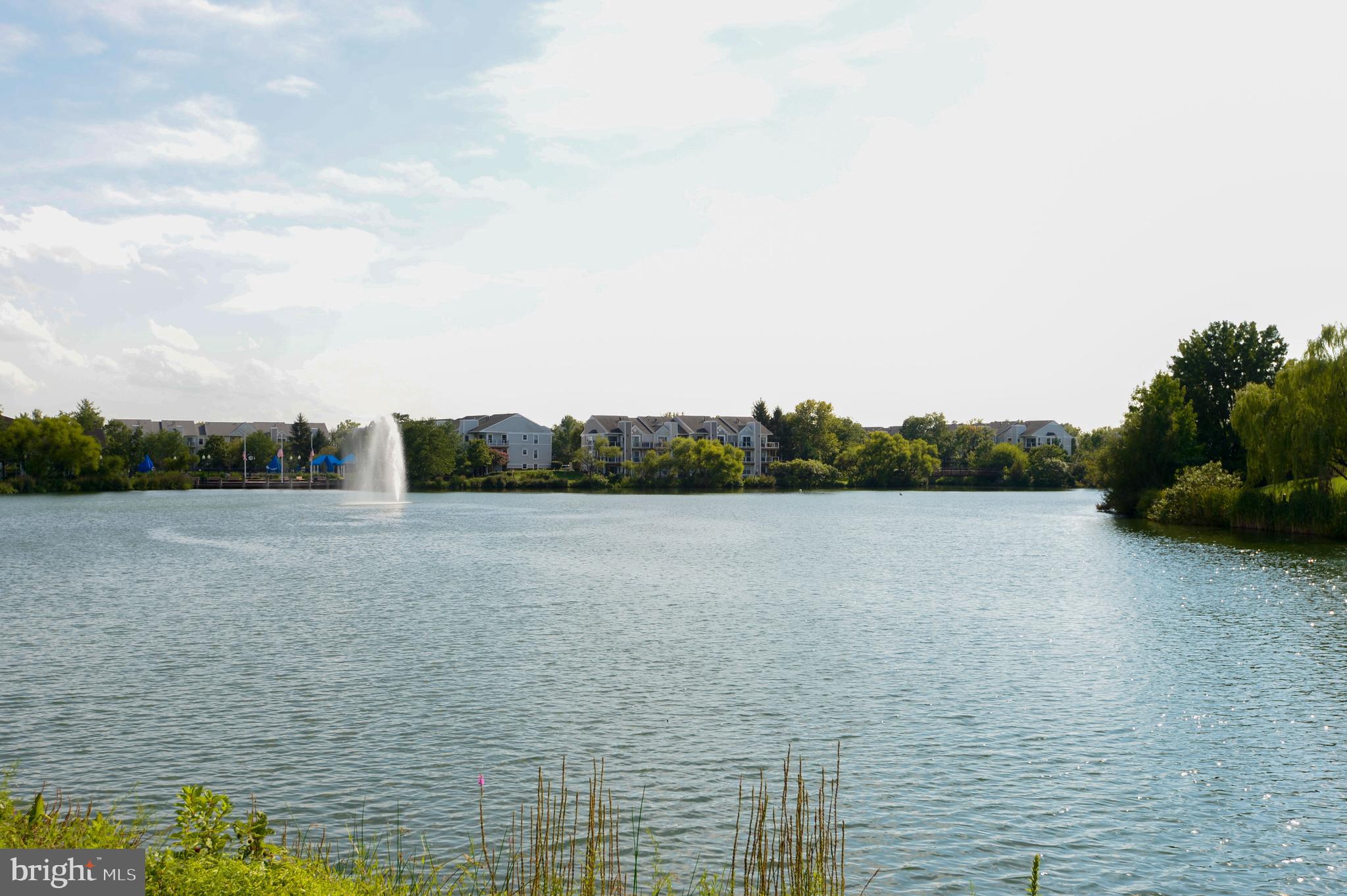 ASHBURN VILLAGE - Residential