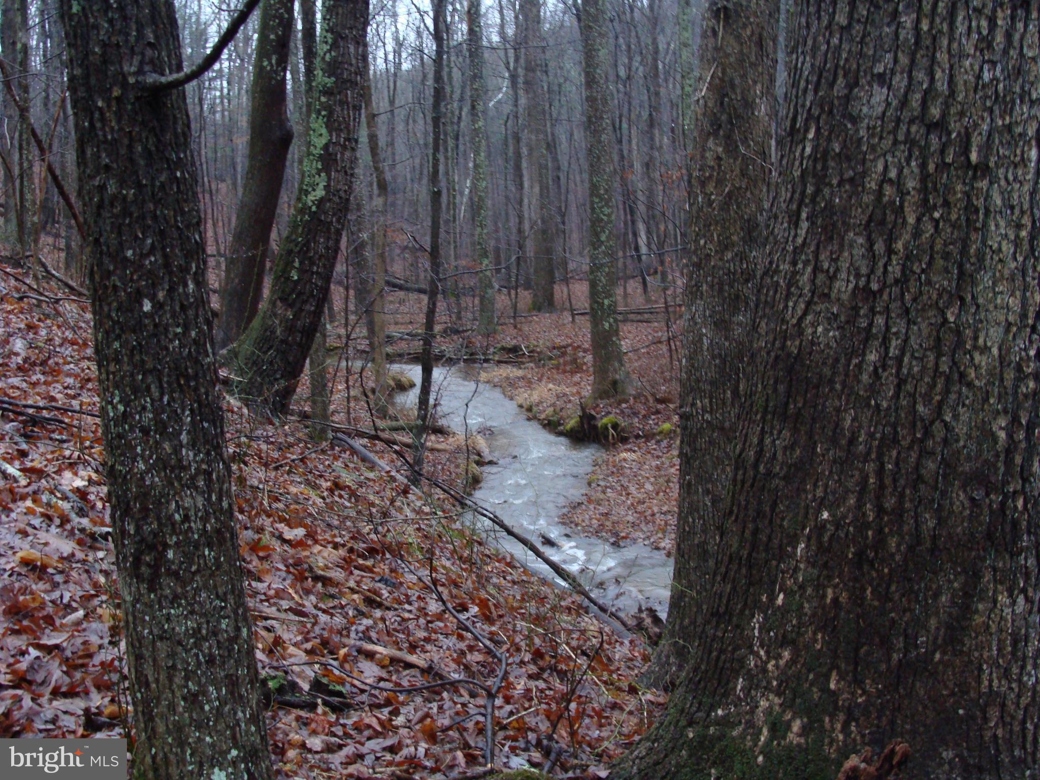 DOGWOOD FLATS - Residential