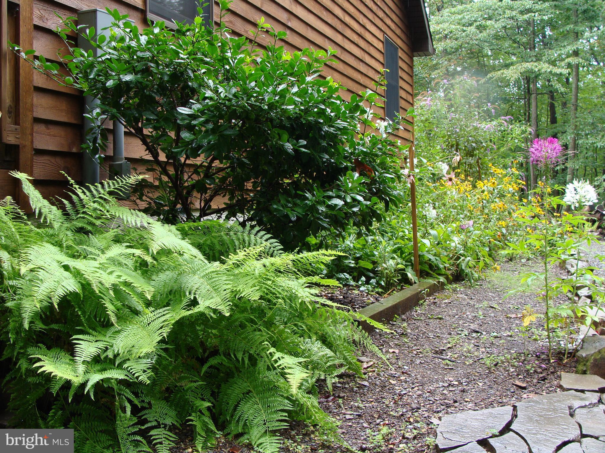 DOGWOOD FLATS - Residential