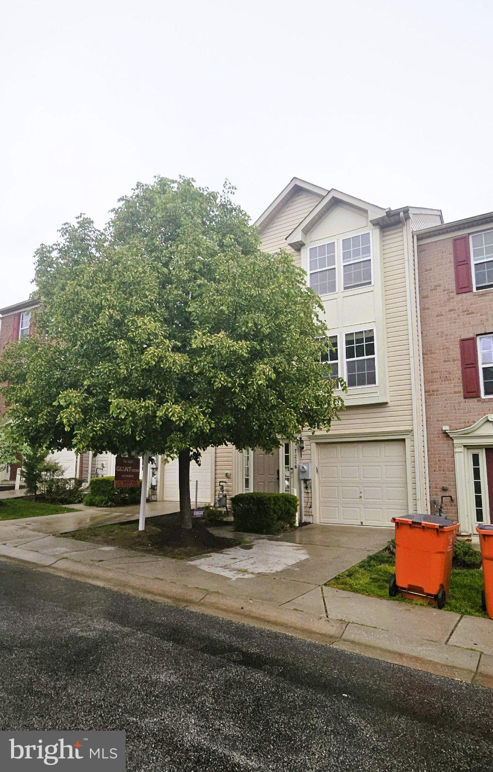 7226 MAIDSTONE PLACE 235