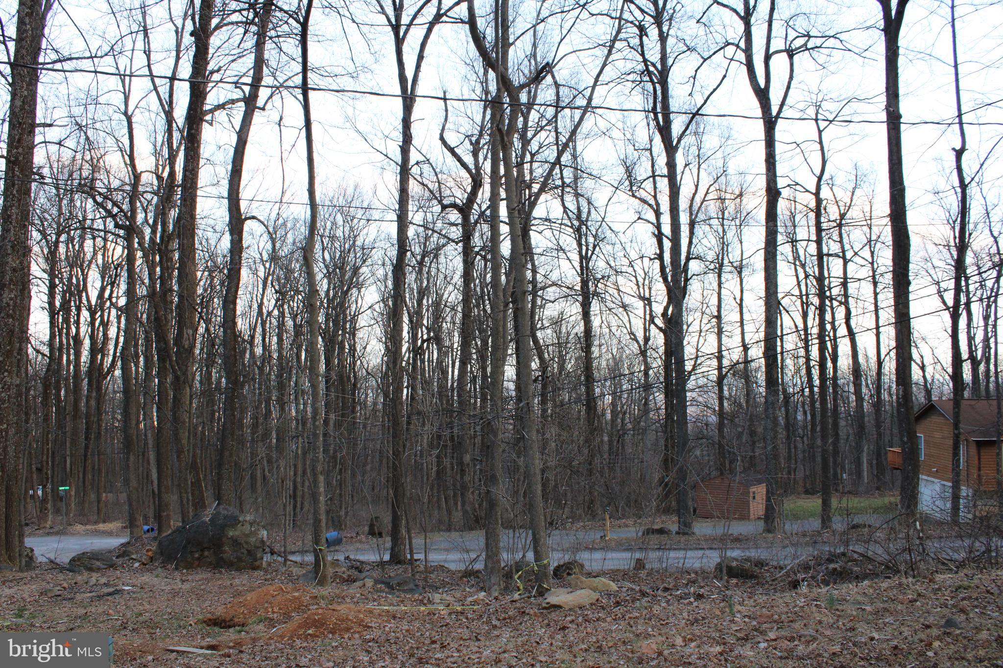 BLUE MOUNTAIN - Residential