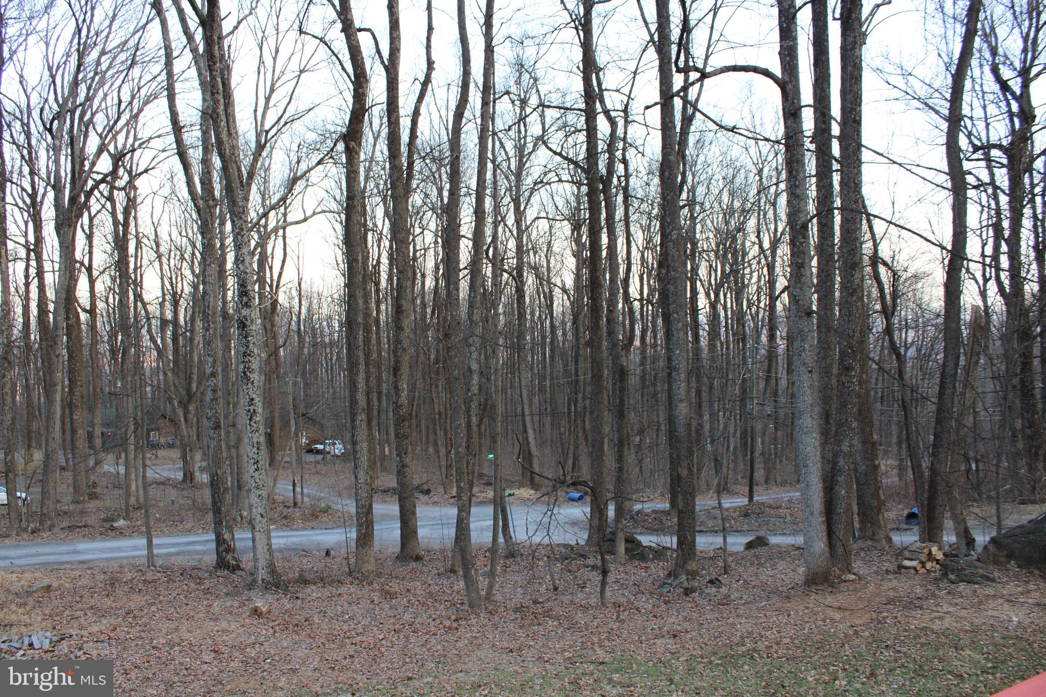 BLUE MOUNTAIN - Residential