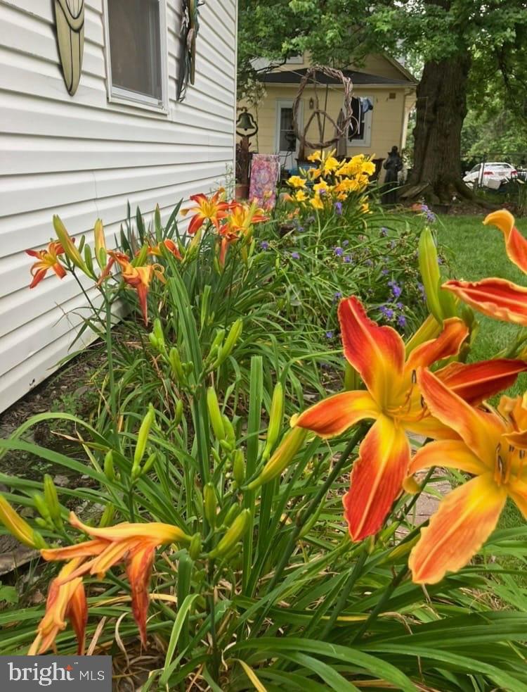 PARKVILLE - Residential