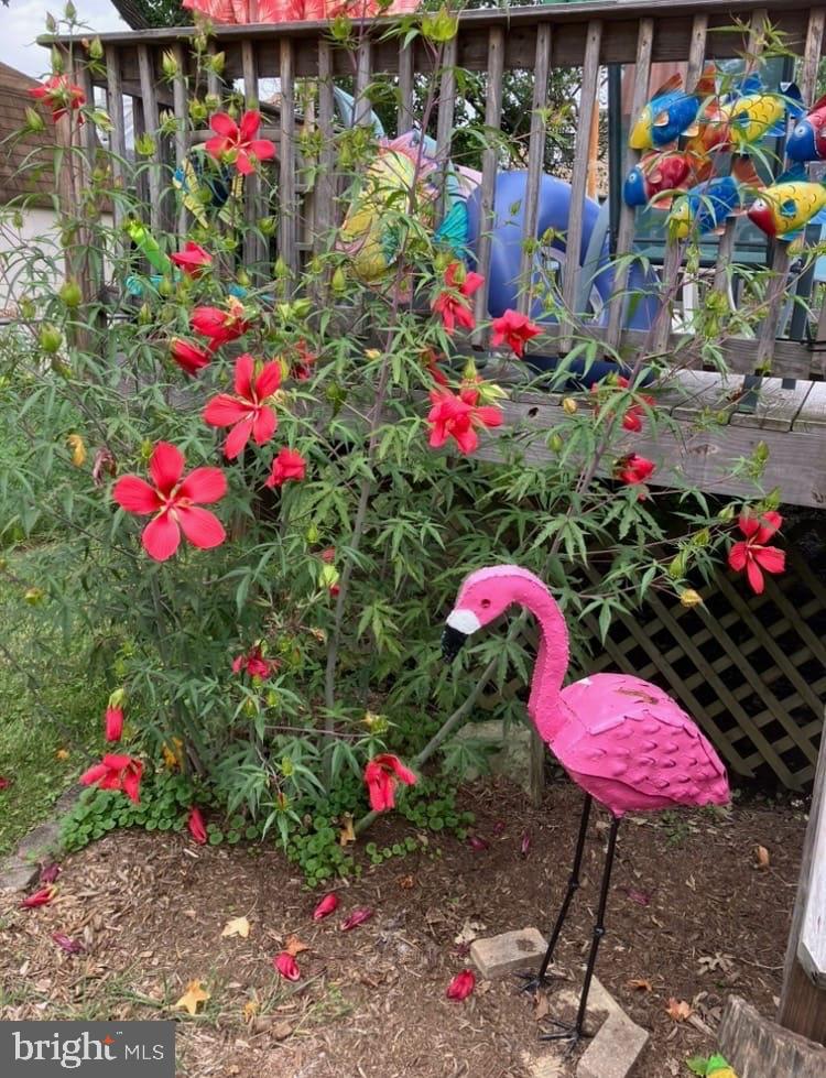 PARKVILLE - Residential