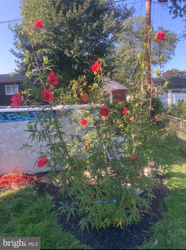 PARKVILLE - Residential