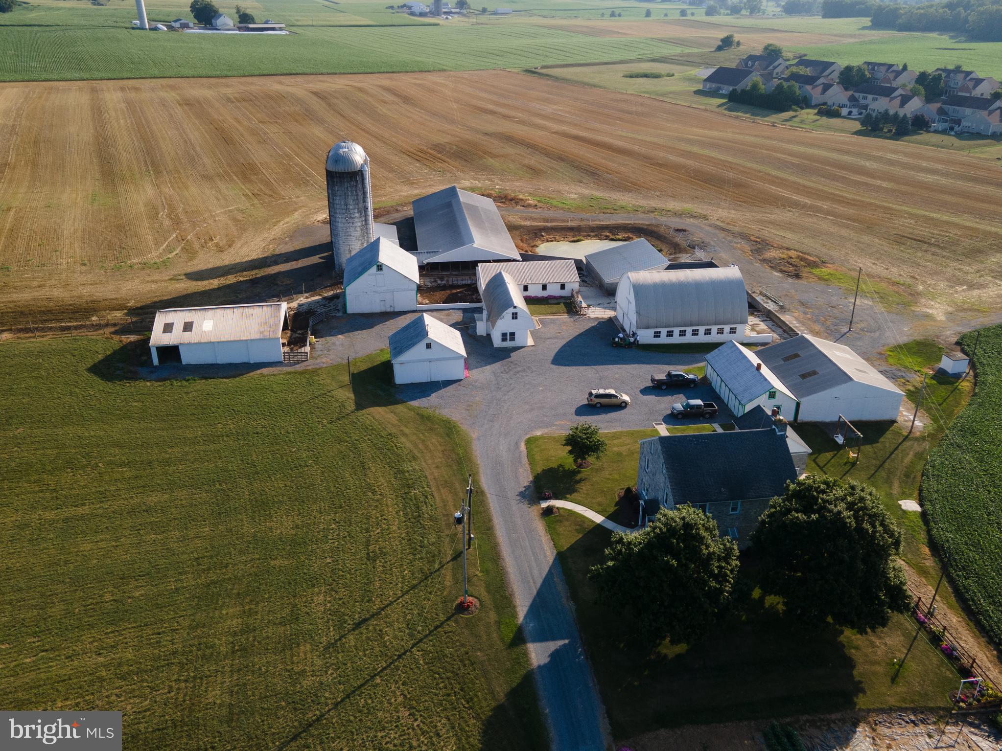 NONE AVAILABLE - Farm