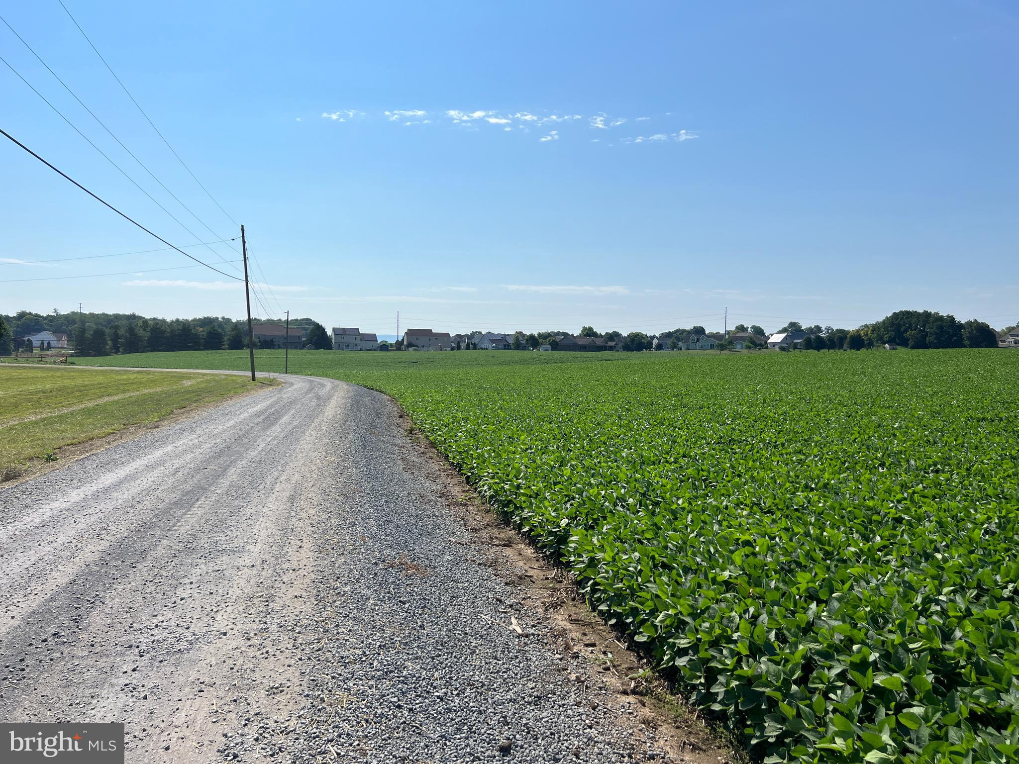 NONE AVAILABLE - Farm