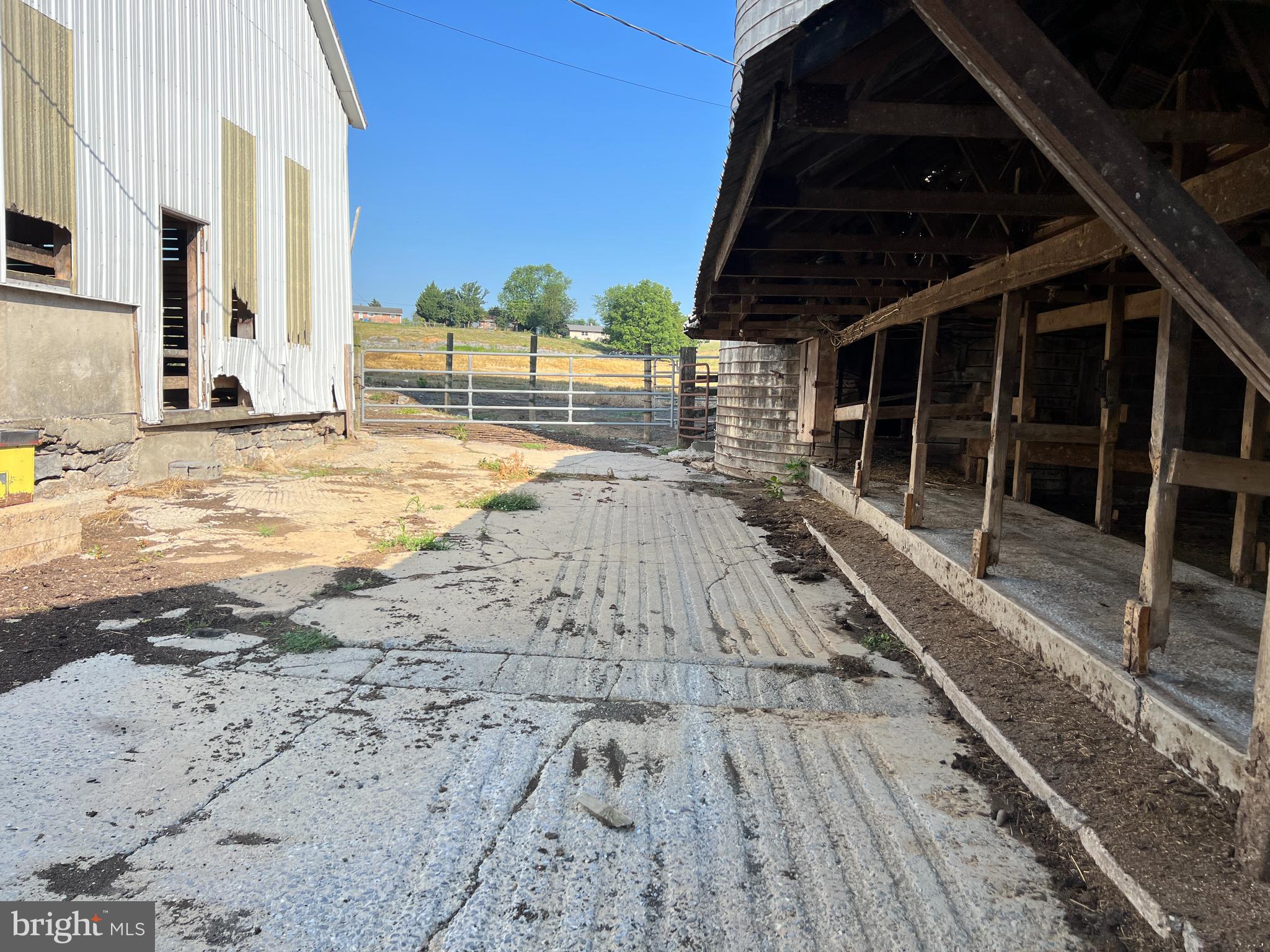 NONE AVAILABLE - Farm